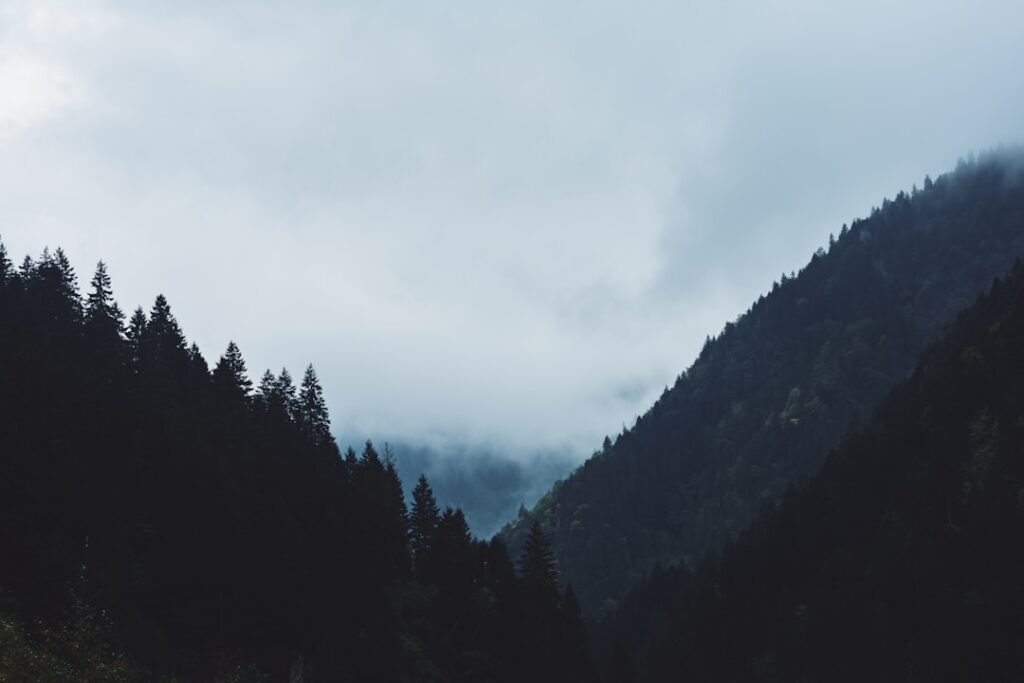 Doen vragen maken van elk spel een feestje