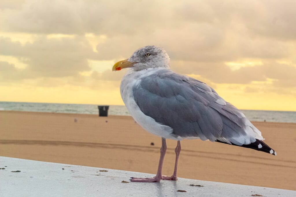 Juultje Tieleman en haar vriend: dit is wat je wilt weten over haar liefdesleven