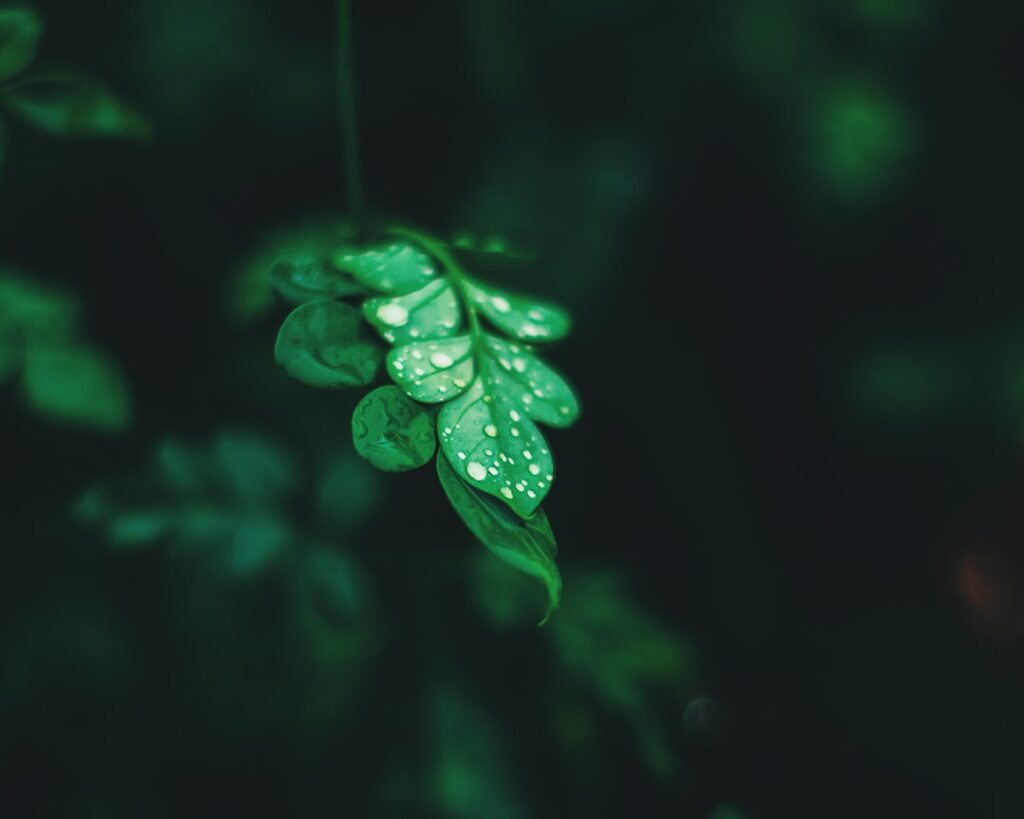 Jade Anna van Vliet: Het indrukwekkende vermogen van een jonge influencer