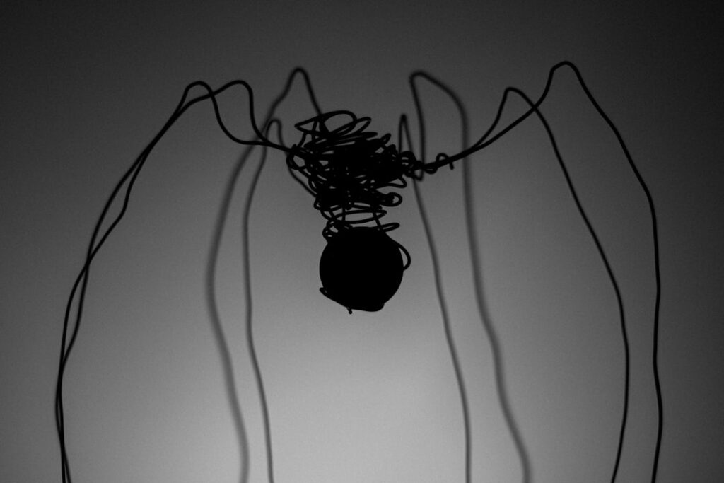 Tangled live action stilgelegd: waarom de film voorlopig niet komt