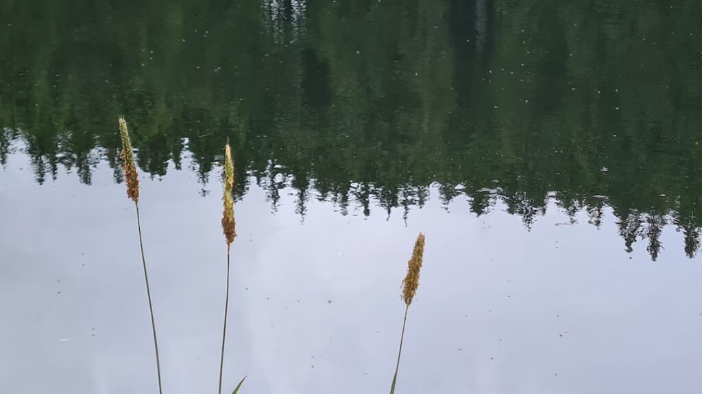 Hoe lang is Lil’ Kleine? Alles over zijn lengte en meer